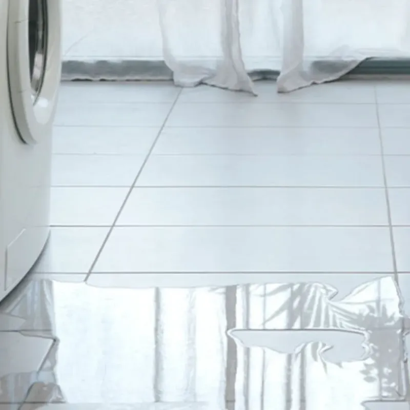 Appliance Leak Cleanup in Rochelle, IL