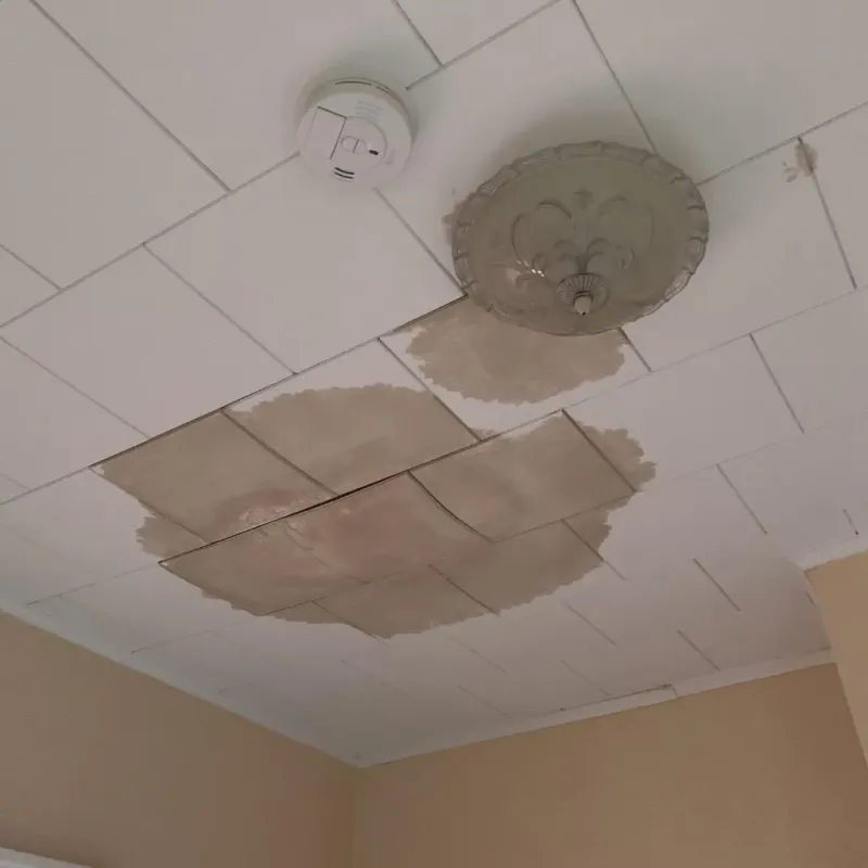 Ceiling Water Damage Repair in Rochelle, IL