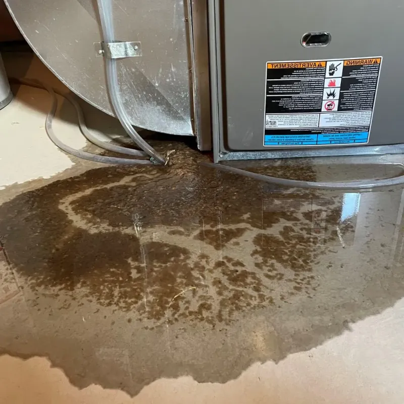 Pipe Burst and Leak Restoration in Rochelle, IL