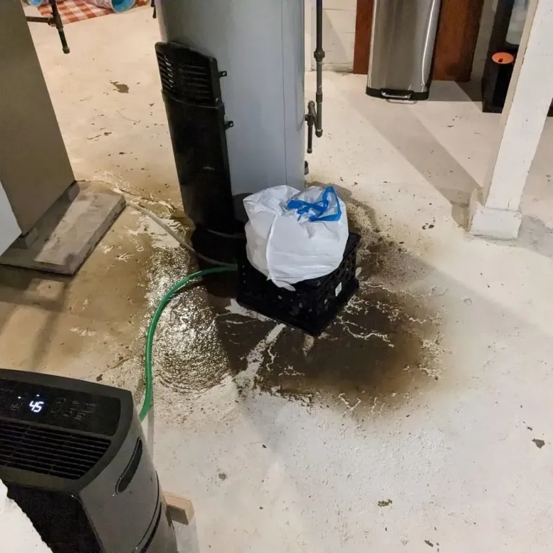 Sewage Backup Cleanup Service in Rochelle, IL